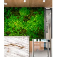 Zdjęcie 100x100 cm Mech - kompozycja MK6