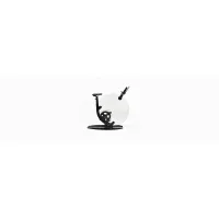 Picture Exercise bike with carbon fiber accents