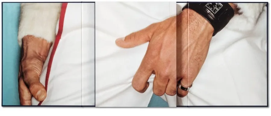 obrazek 15 Książka '' Pan '' Mario Testino. SIR - Taschen