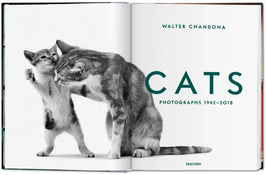 obrazek 2 Książka Walter Chandoha. Cats. Photographs 1942–2018 - Taschen