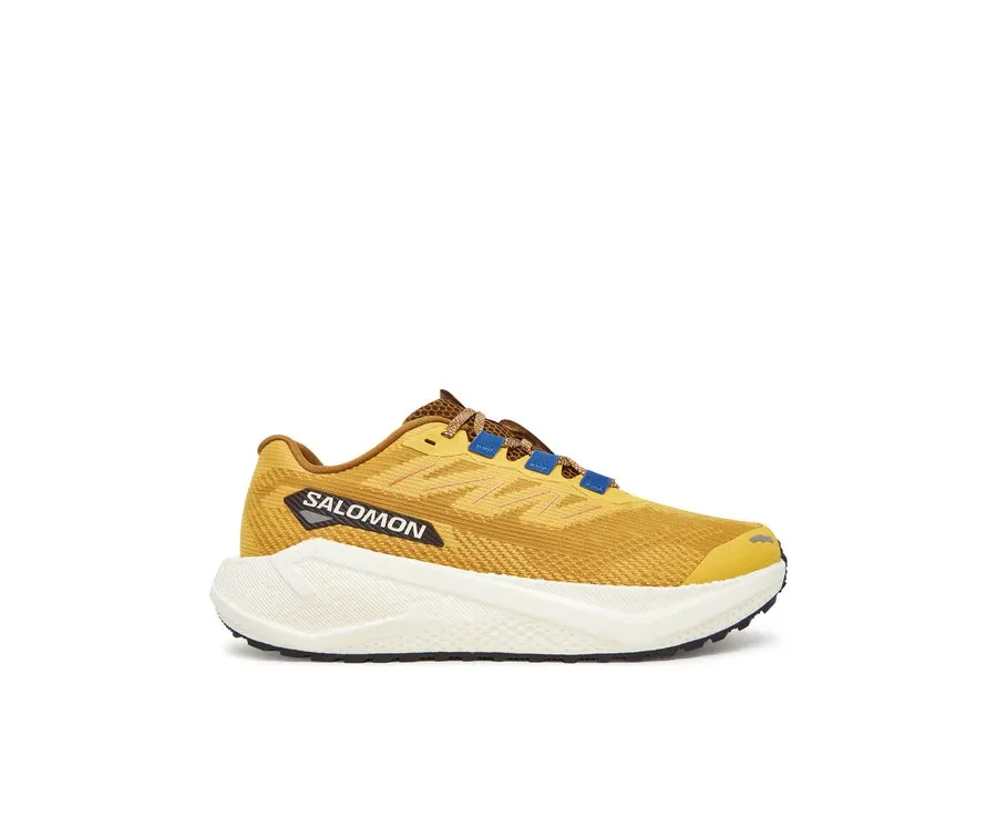 obrazek 1 Salomon Buty do biegania Aero Blaze 3 Grvl L47974200 Żółty