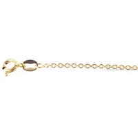Picture Elegant unisex chain in 9 carat yellow gold (50 cm)