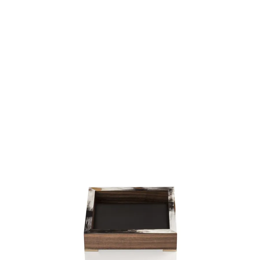 picture 2 An exclusive container made of matte horn and walnut veneer - Arcahorn