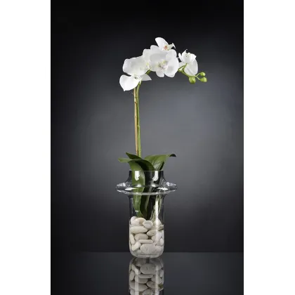 Picture An unusual vase with small stones and an orchid