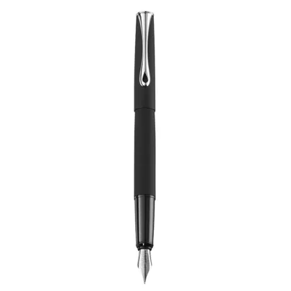 Picture Esteem matte fountain pen - F, M or B nib