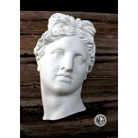 Picture Luxury plaster bust of Venus Mask