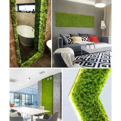 Zdjęcie 30x60 cm Chrobotek, mech reniferowy islandzki (005 leśna zieleń) - basic