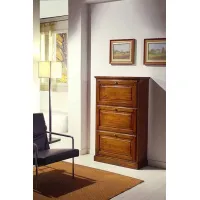 Zdjęcie Klasyczna szafka na buty z 3 klapami - Zanini