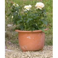 Picture Clay flower pot in the Mediterranean style - Fornace Masini