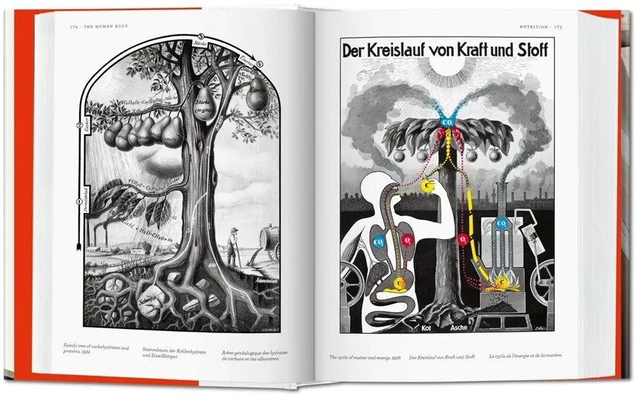 obrazek 4 Książka Fritz Kahn. Infographics Pioneer - Taschen
