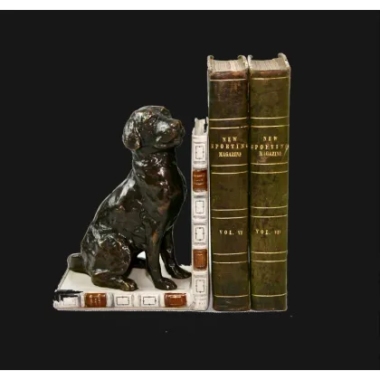 Zdjęcie Podglądający z nad książki labrador