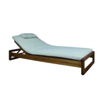 Picture A unique Dual lounger made of natural teak