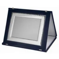 Picture Fantastic engraved plate in original case
