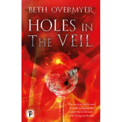 Zdjęcie Książka Dziury w zasłonie - Flame Tree Publishing