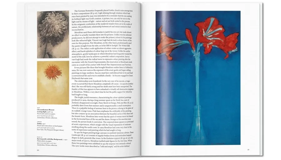 obrazek 5 Książka Mondrian - Taschen