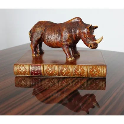 Picture Paperweight - rhinoceros