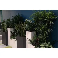 Picture A pot designed for the hydroponic cultivation method - an Italian product