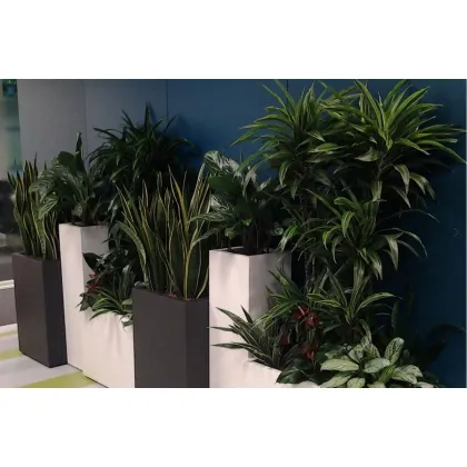 Zdjęcie Donica ukierunkowana na metodę uprawy hydroponicznej - produkt włoski