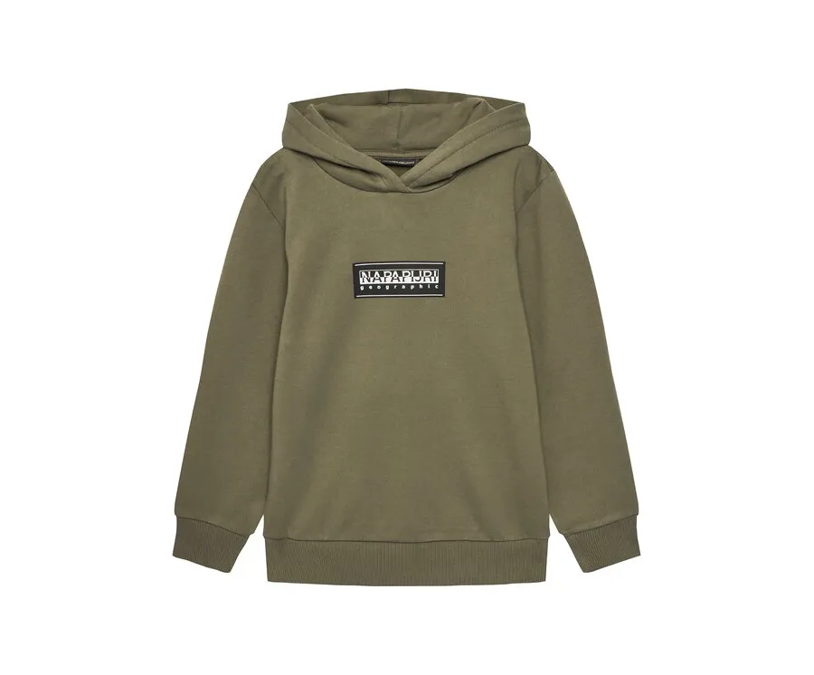 obrazek 1 Napapijri Bluza B-Chamois NP0A4HY4 D Zielony Regular Fit