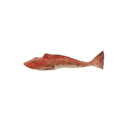Picture Ceramic decoration in the form of a fish - Bordallo Pinheiro