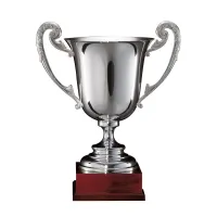 Picture A cup for an athlete - an Italian product