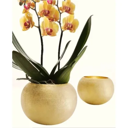 Zdjęcie Platerowana złotem doniczka