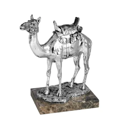 Zdjęcie Prześliczna figura dromadera