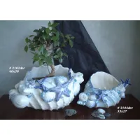 Picture Sophisticated flower pots with blue shells
