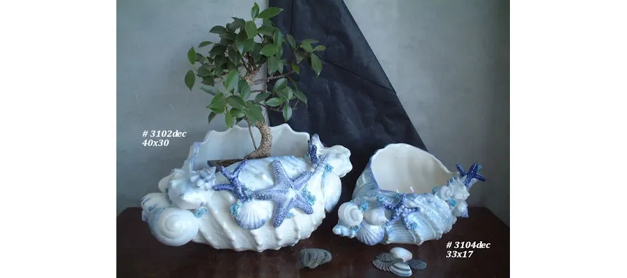 picture 1 Flowers pots with shells