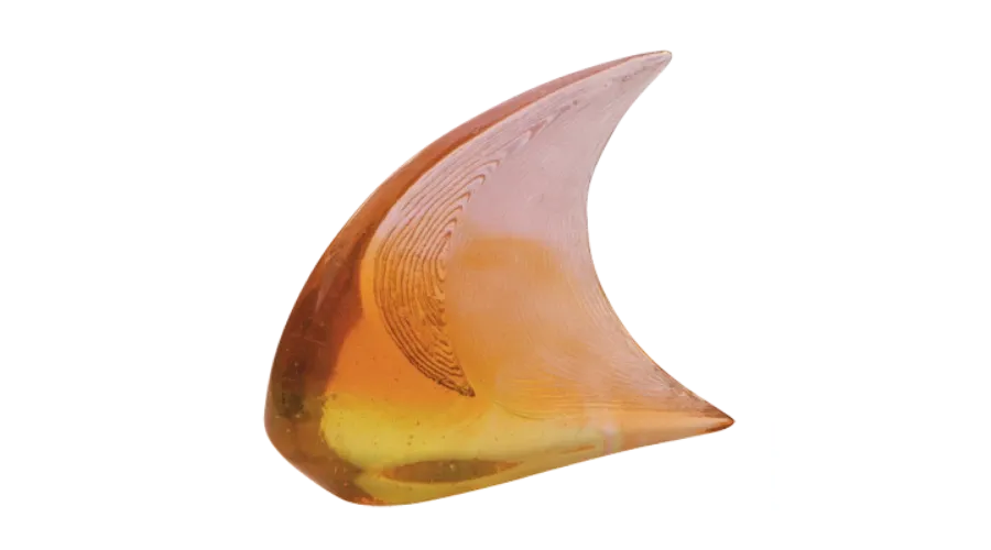 obrazek 1 Minimalistyczna rzeźba ryby według Xaviera Carnoya