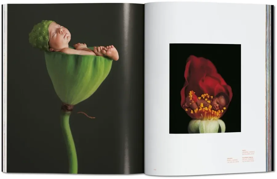 obrazek 9 Książka Anne Geddes. Small World - Taschen
