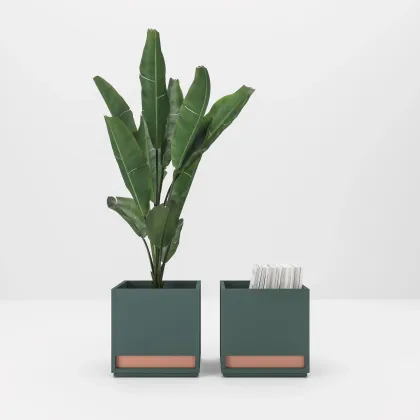 Zdjęcie Urokliwe donice do gabinetu - Prof