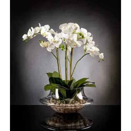 Picture An exclusive vase with an orchid for the dining room