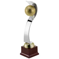 Picture A fantastic trophy for a basketball tournament