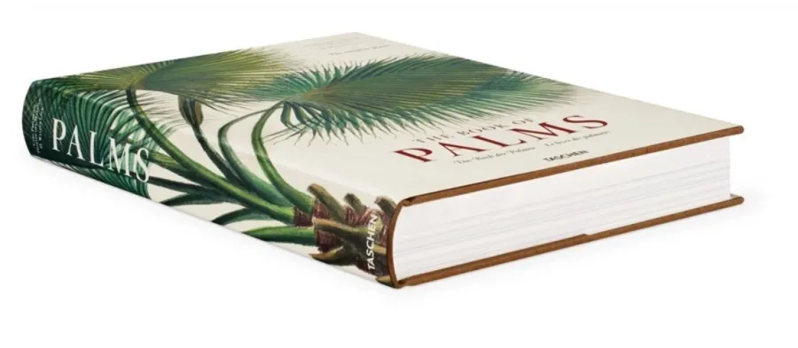 obrazek 2 Książka von Martius. Księga Palm - Taschen