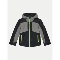 Zdjęcie 4F Kurtka narciarska 4FJWAW24TTJAM536 Czarny Regular Fit