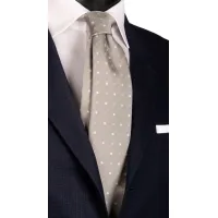 Picture Stylish men's silk tie