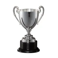 Picture Italian silver cup for sports competitions