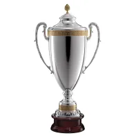 Picture A unique cup as a reward for an outstanding athlete