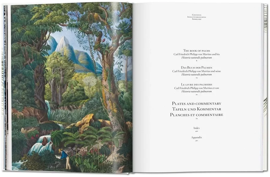 obrazek 3 Książka von Martius. Księga Palm - Taschen