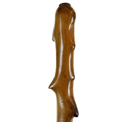 Picture A hiking pole for women from the 20th century