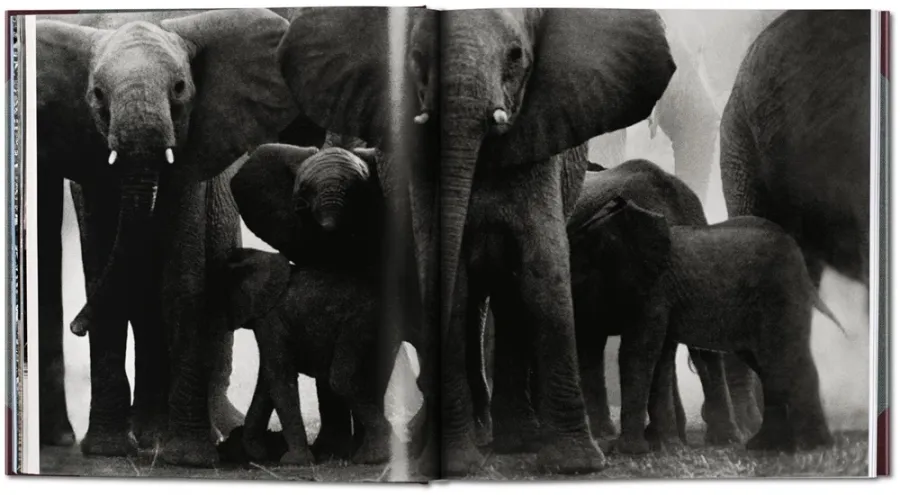 obrazek 3 Książka Peter Beard. The End of the Game. 50th Anniversary Edition - Taschen