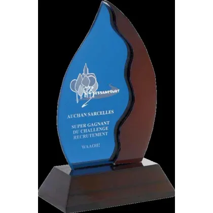Picture Glass sports trophy for the winner of the competition - Erre Emme