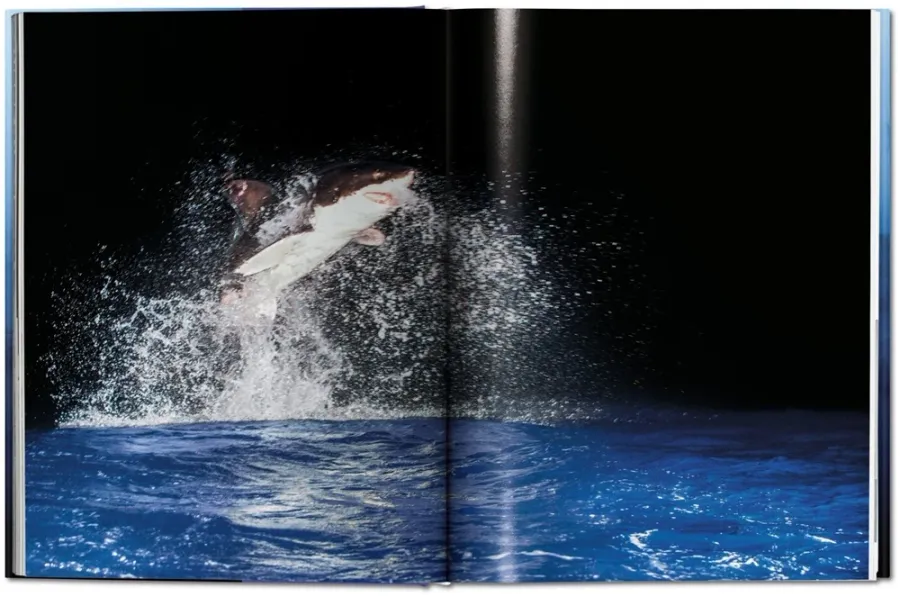 obrazek 8 Książka Michael Muller. Sharks. Face-to-Face with the Ocean’s Endangered Predator - Taschen