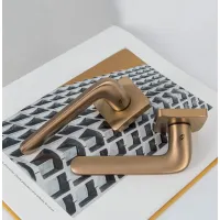 Picture Beautiful Roboquattro S door handle in vintage style