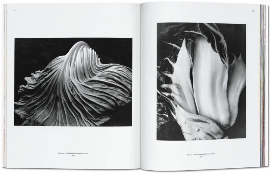 obrazek 6 Książka Edward Weston - Taschen