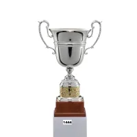 Picture A unique sports cup available in 3 sizes