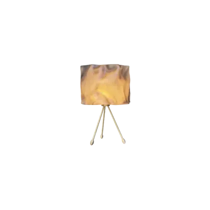 Picture Table lamp - brushed brass structure - Karpa