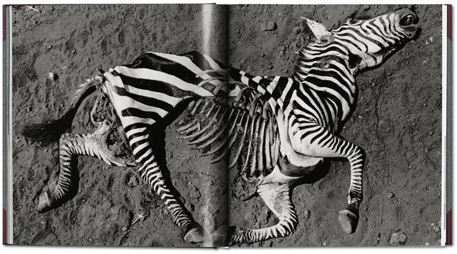 obrazek 8 Książka Peter Beard. The End of the Game. 50th Anniversary Edition - Taschen