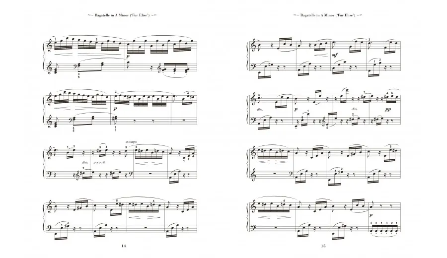obrazek 4 Książka Ludwig Van Beethoven: Nuty na fortepian - Flame Tree Publishing